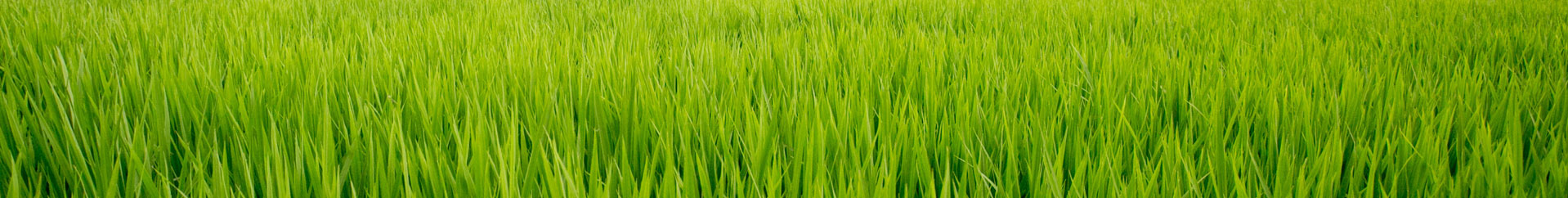 �δ�ü�����̹���