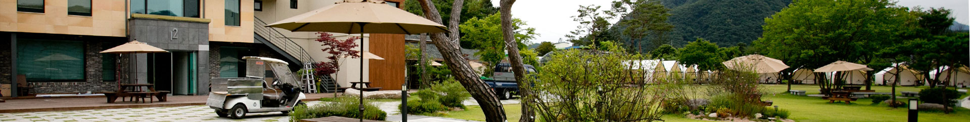 ���帲12����̹���