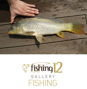 ���� ������