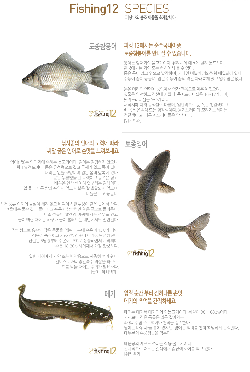 �ǽ�12�� ���� ������ �Ұ��մϴ�. 
�ǽ� 12������ ������������ 
�������ؾ ������ �� �ֽ��ϴ�. 
�ؾ�� �׾���� �������̴�. ����þ� ����� �θ� �����ϸ�, 
�ѱ������� ���� ��� ��õ���� �� �� �ִ�. 
���� ���� �а� ������ �����ϸ�, Ŀ�ٶ� ����� ���ó�� �迭�Ǿ� �ִ�. 
�ֵ��� ���� �ձ۸�, ���� �ֵ��� ���� �ణ �Ʒ��ʿ� �ְ� �Լ����� ����. 
���� �Ӹ��� ���鿡 �߾ӿ��� �ణ �������� ġ���� ������, 
������ �����ϰ� ������ ������. ���������̻��� 16~17���̸�, 
���������̻��� 5~6���̴�. 
�������� ���� �������� �ٸ���, �Ϲ������� �� ���� û�����̰� 
�� ���� ����� �Ǵ� Ȳ�����̴�. ���������̿� �����������̴� 
û�����̰�, �ٸ� �������̵��� ����̴�.  
[��Ű���]
���ò��� �γ��� ��¿� ����
���� ���� �׾�� �ո��� ����������
�׾�(-��)�� �׾���� ���ϴ� �������̴�. ���̴� �������� ������  
 �뷫 1m �����̴�. ���� ���������� ��� �β��� ��� ���� �д�. 
�Ӹ��� ���� ����̸� ���� ���� ���ʿ� �ִ�. 
���� �������� �� ����̰� ������ £��  
������ ���� ���̸� �������� �����̴�. 
�� �ѷ��� �� ���� ������ �ְ� �̻��� �� �ߴ޵Ǿ� ������, 
����� ũ�� �ձ۴�. 
��õ �߷� ������ ������ ���� �ʰ� �ٴ��� ���������� ���� ������ ���. 
�ܿ￡�� ���� ���� ���� ������ ����ϸ� ���� ������ �������. 
�ټ� §���� ���� �� ��Ϳ� ��� ��쵵 �ְ�, 
���� ���� ������ �ϱ��� ���� �귯��� ���������� �߰ߵȴ�. 
 
��ļ����� ����� ���� ������ �Դµ�, ���� ������ 15�ɰ� �Ǹ�  
�Ŀ��� �����ϰ� 25-27�� ���Ŀ��� ���� �ռ�������. 
����� 5������� ������ 15�ɷ� ����ϸ鼭 ���۵Ǹ�  
���� 18-20�� ���̿��� ���� �ռ��ϴ�. 
�Ϲ� �������� �ھ� �Ǵ� �ݾ������ ������ ���� �Դ�. 
 �����丶�� �߰����� ������ �ϹǷ�  
ȸ�� ���� ������ ���ǰ� �ʿ��ϴ�. 
[��ó: ��Ű���]  
���� ���� ���� �����ٸ� �ո� 
�ޱ��� �߾��� �����ϼ���   
�ޱ�� �ޱ�� �ޱ���� �ι������̴�. ������ 30~100cm�̴�. 
�ڽź��� ���� ������ ���� ��ƸԴ´�. 
4���� �������� ���̳� õ���� �����Ѵ�. 
������ ������ �� ƴ�� ������, �㿡�� ���̸� ã�� Ȱ���ϰ� �����δ�. 
��κ��� ���߻����� �Դ´�. 
�ſ����� ���� ���̴� �Ŀ� �������̴�.
��ü������ ��ο� �������� ������ ���̸� ��� �ִ�  
[��Ű���] 