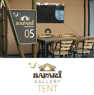 ���ĸ���Ʈ ������