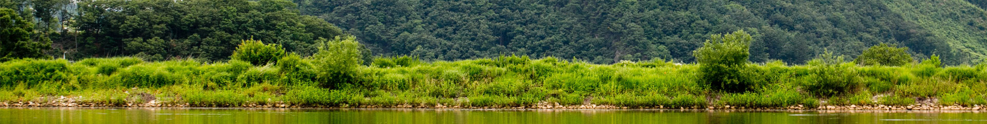 ����ũ12CEO����̹���