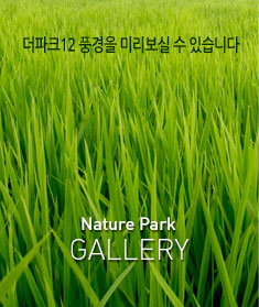 ����ũ12ǳ���� �̸� ���� �� �ֽ��ϴ�.